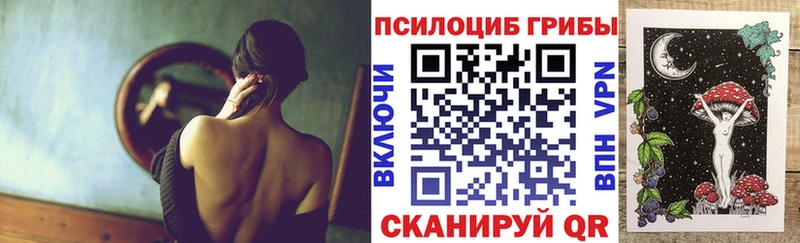 даркнет сайт  Хилок  Галлюциногенные грибы Cubensis 